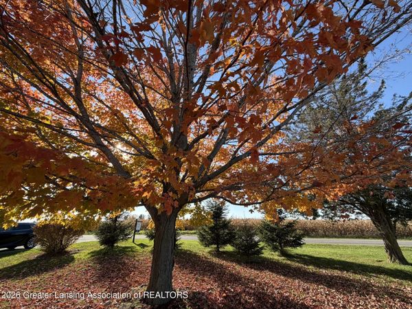 2265 Laxton Road, Mason, MI 48854