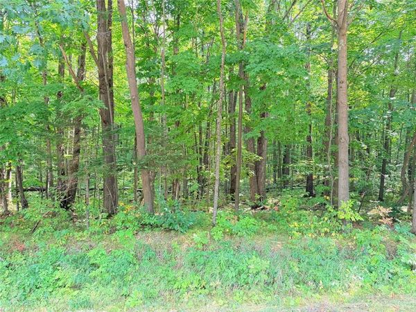 30 Acres County Highway X, Glen Flora, WI 54526
