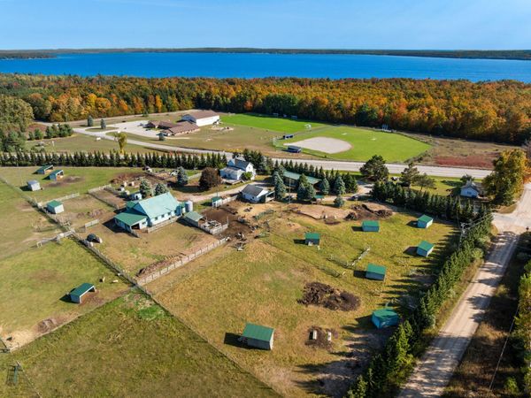 10522 Rotter Road, Alanson, MI 49706