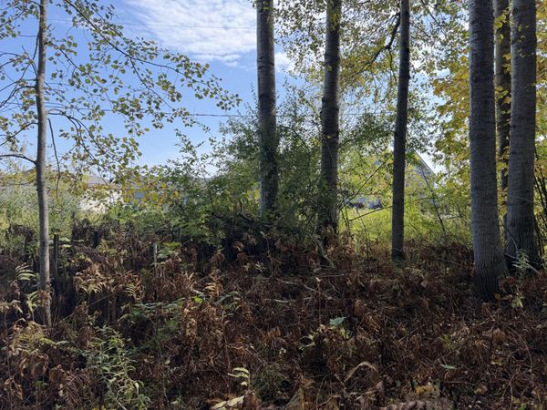 V/L .27AC Cedar Drive, Black River, MI 48721