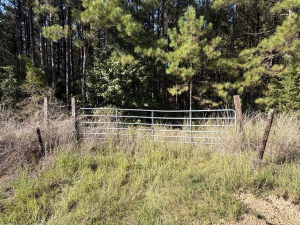Coons Mill Road, Centreville, MS 39631
