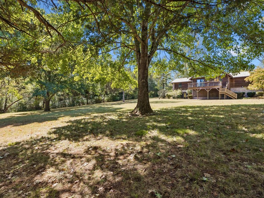 Property Image 100