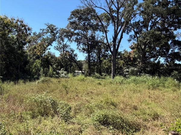 16612 SE 25TH AVENUE , SUMMERFIELD, FL 34491