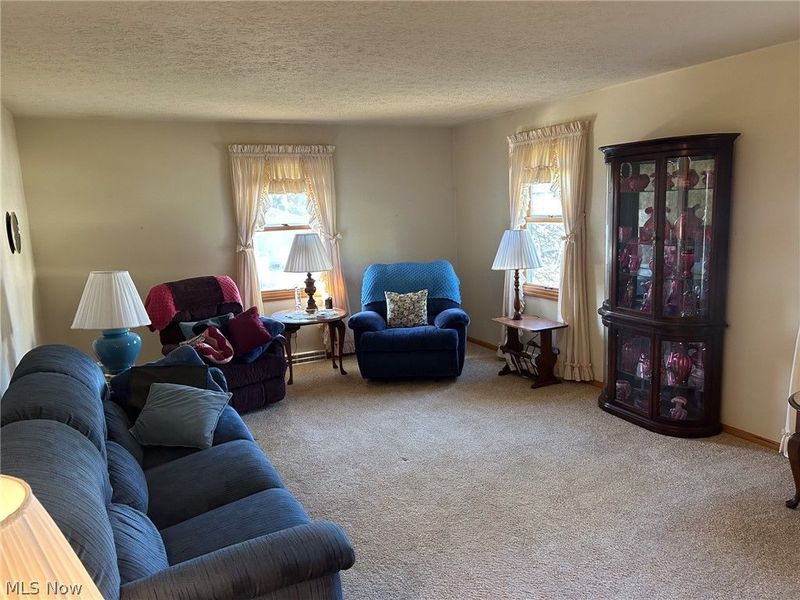 700 W Martin Street, East Palestine, OH 44413 Photo 13
