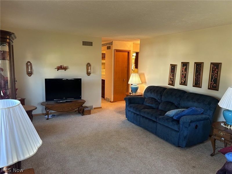 700 W Martin Street, East Palestine, OH 44413 Photo 14