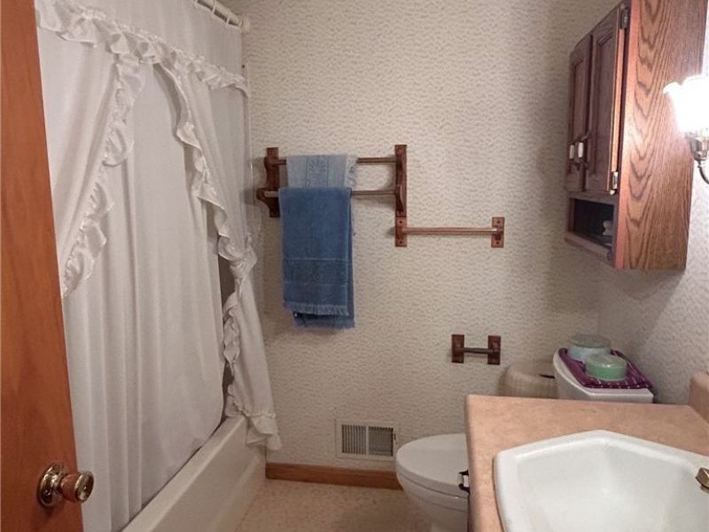 700 W Martin Street, East Palestine, OH 44413 Photo 27