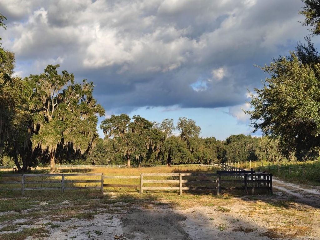650 NE 170th Avenue, Williston, FL 32696 Photo