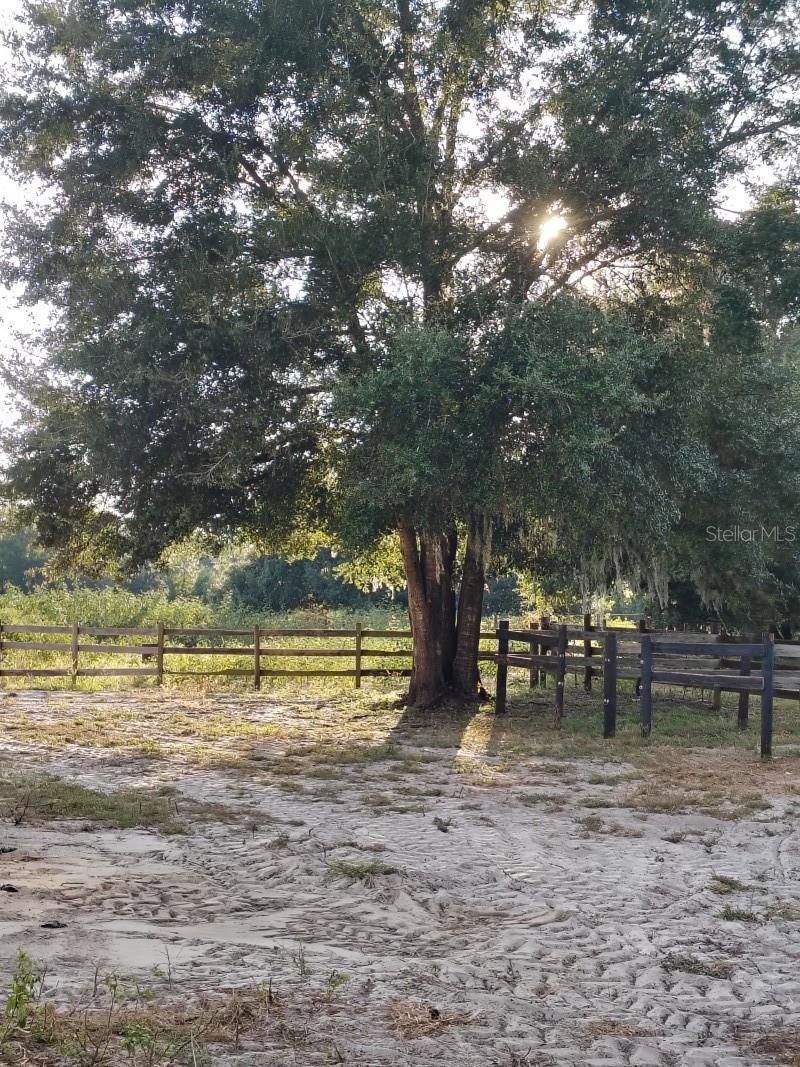 650 NE 170th Avenue, Williston, FL 32696 Photo