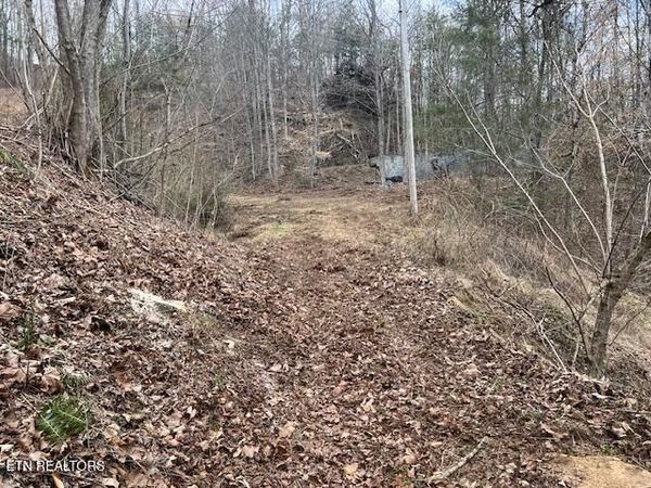 3071 Mica Way, Cosby, TN 37722