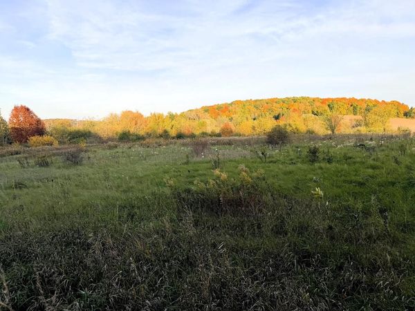 S SCHUYLER ROAD, Neosho, WI 53059