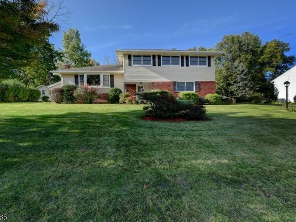 20 Rockaway Pl, Parsippany-Troy Hills, NJ 07054