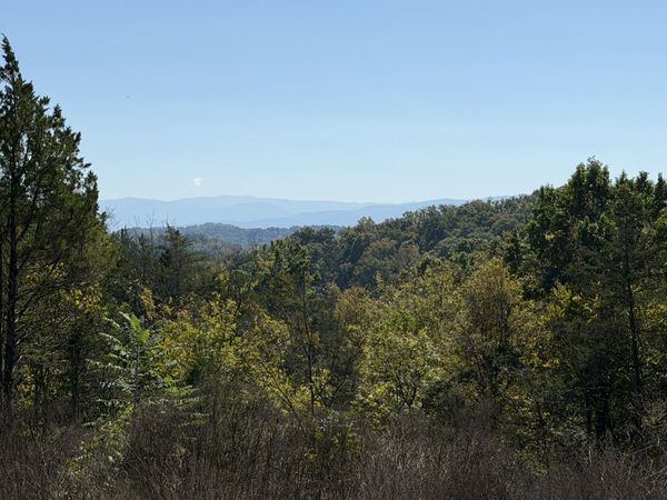 449 Red Cedar Ridge Road , Unit 146, Sevierville, TN 37876