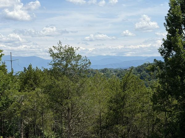135 Red Cedar Ridge Road , Unit 135, Sevierville, TN 37876