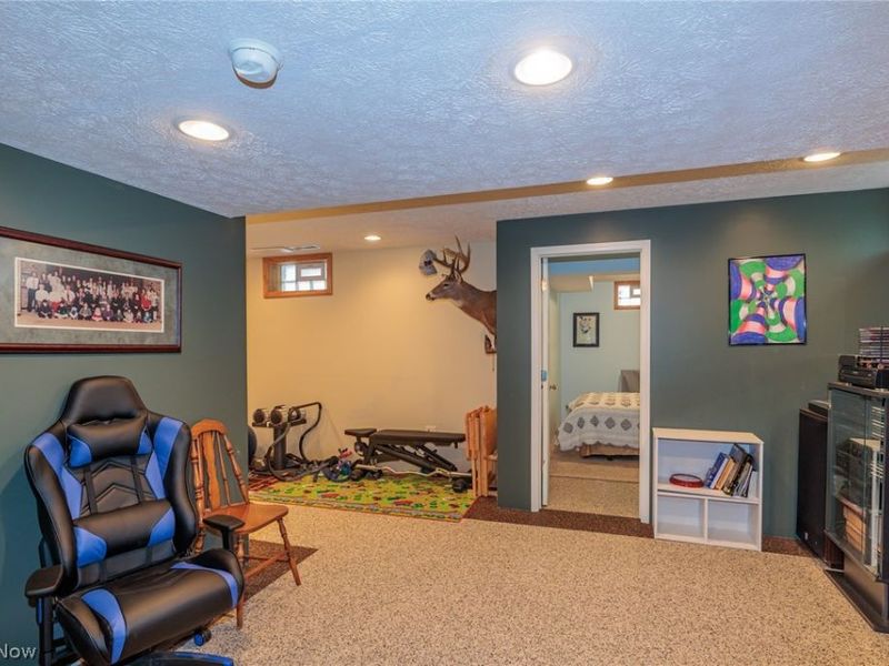 5341 Ivandale Drive, Medina, OH 44256 Photo 26