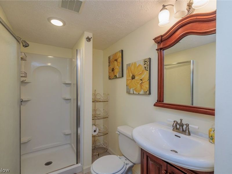 5341 Ivandale Drive, Medina, OH 44256 Photo 27