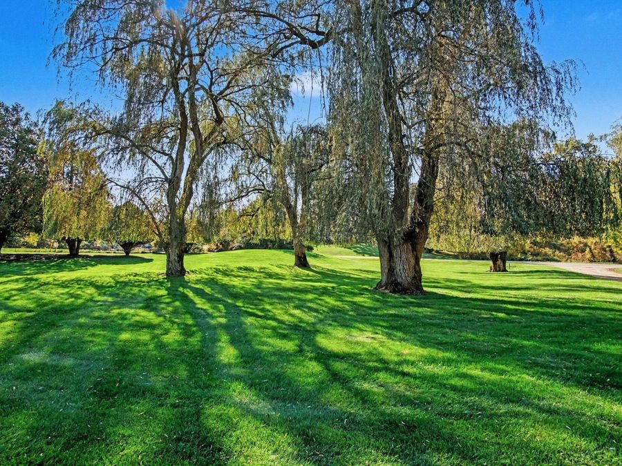 Property Image 56