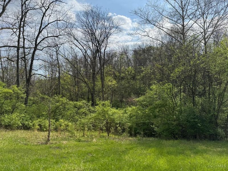 10883 Sand Run Road, Whitewater Township, OH 45030 Photo 10