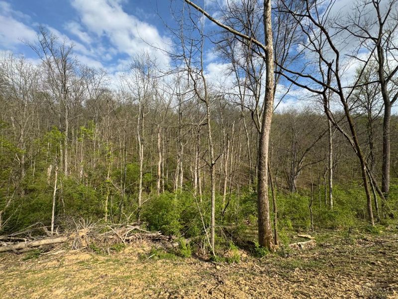 10883 Sand Run Road, Whitewater Township, OH 45030 Photo 11
