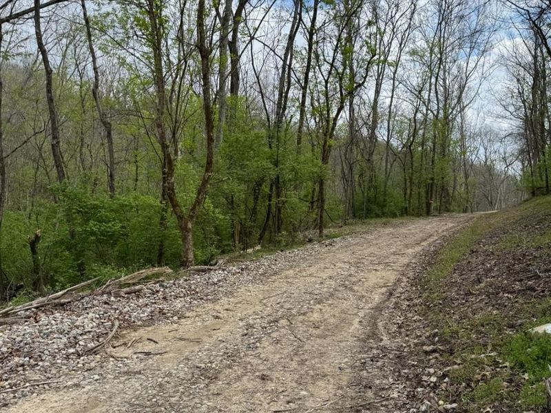 10883 Sand Run Road, Whitewater Township, OH 45030 Photo 2