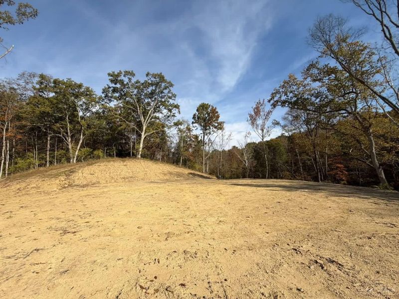 10883 Sand Run Road, Whitewater Township, OH 45030 Photo 4