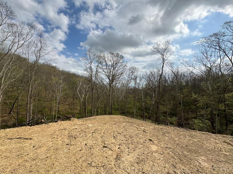 10883 Sand Run Road, Whitewater Township, OH 45030 Photo 5
