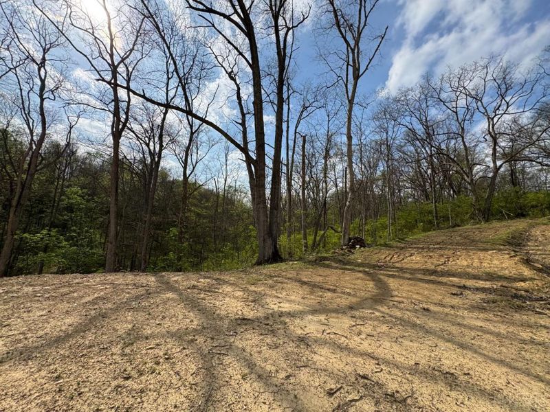 10883 Sand Run Road, Whitewater Township, OH 45030 Photo 7