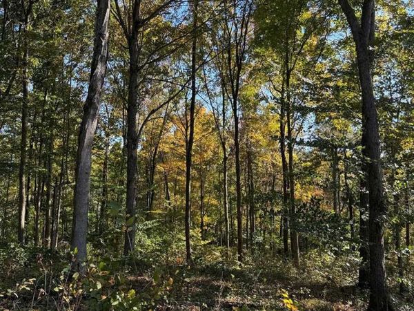 0 Cornwell Road , Scottsville, KY 42164