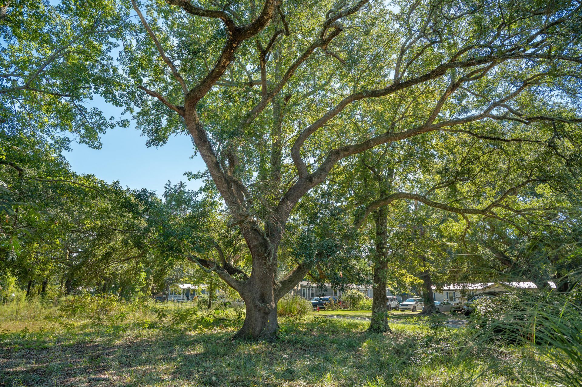 102 Catfish Landing Circle Photo 13
