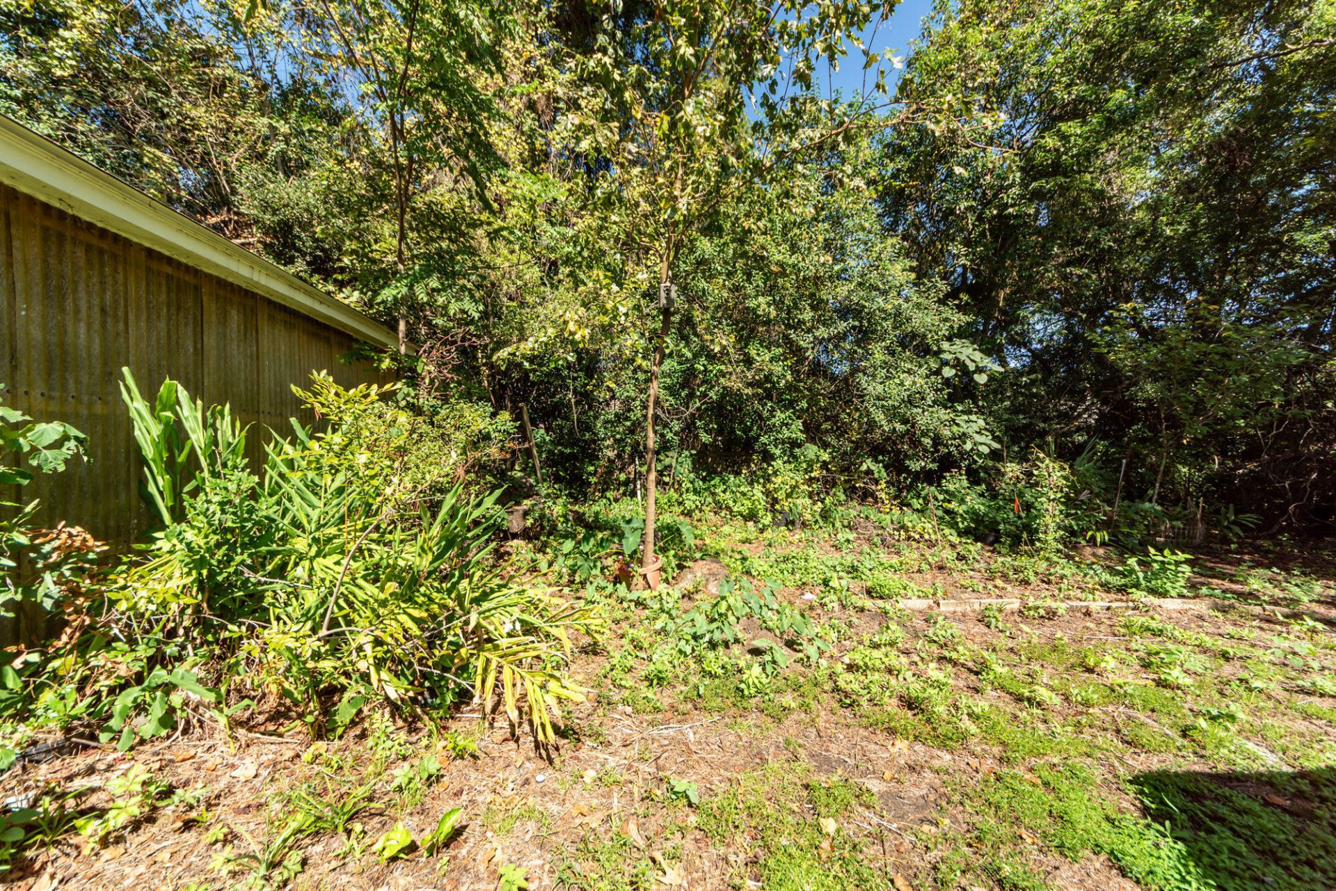 1538 Bexley Street Photo 34