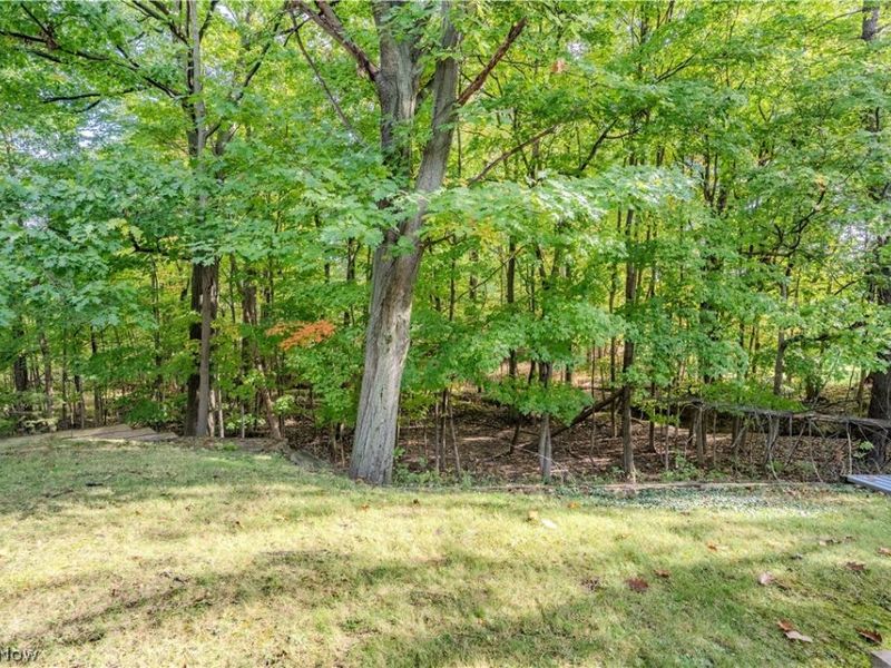 57 Woodhollow Drive, Brunswick, OH 44212 Photo 39