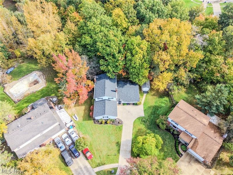 57 Woodhollow Drive, Brunswick, OH 44212 Photo 5