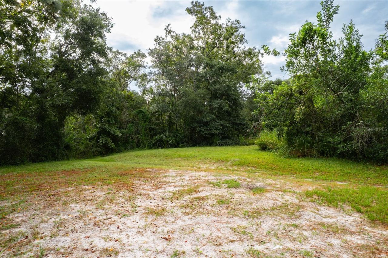 3141 N Mcmullen Booth Road , Clearwater, FL 33761 Photo