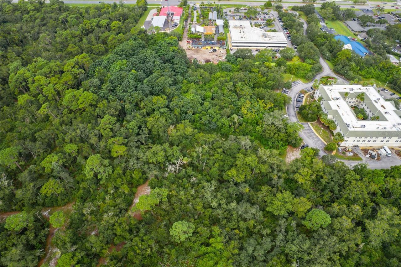 3141 N Mcmullen Booth Road , Clearwater, FL 33761 Photo