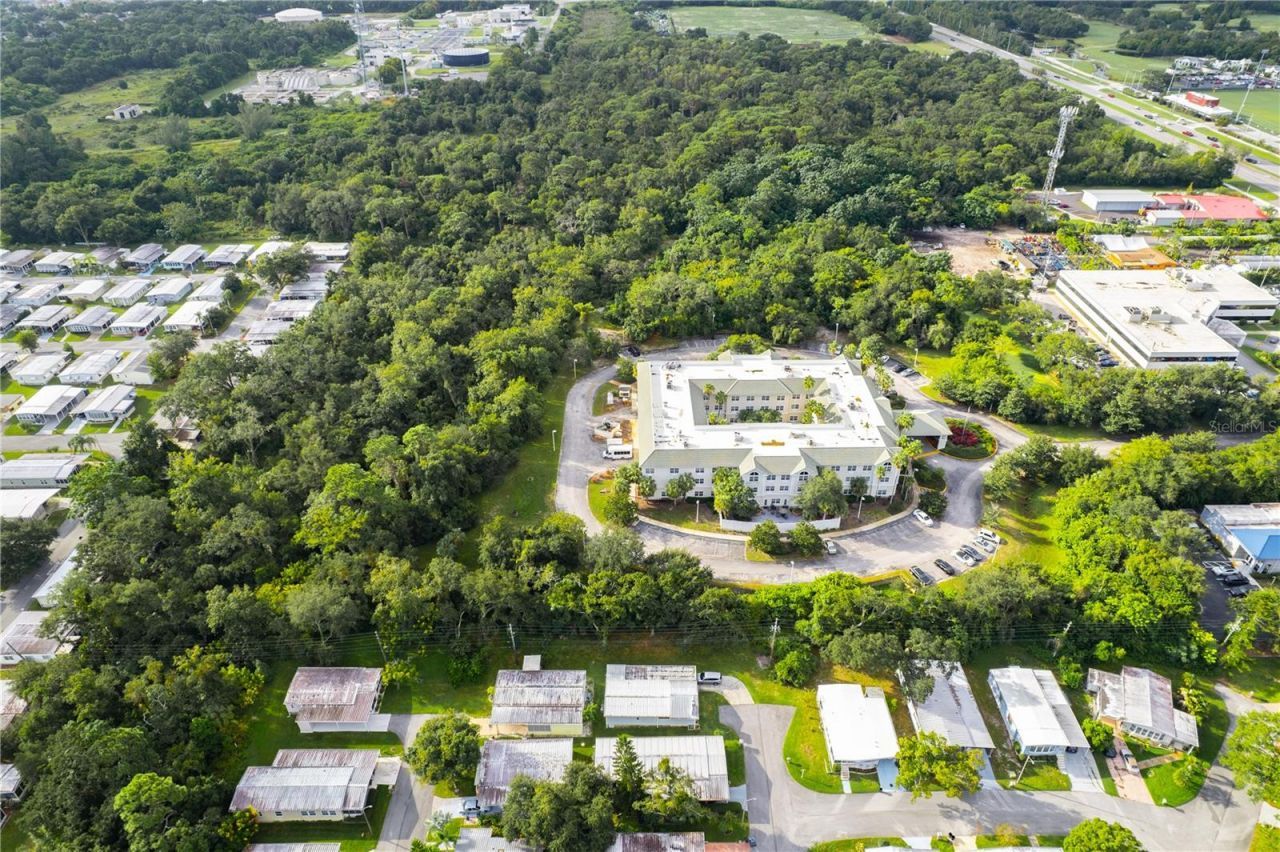 3141 N Mcmullen Booth Road , Clearwater, FL 33761 Photo