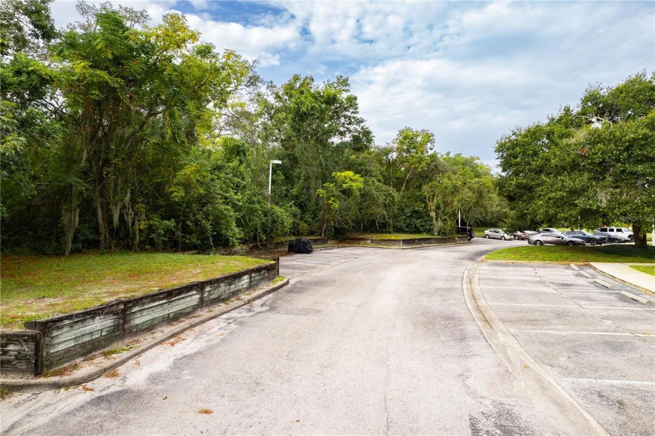 3141 N Mcmullen Booth Road , Clearwater, FL 33761 Photo