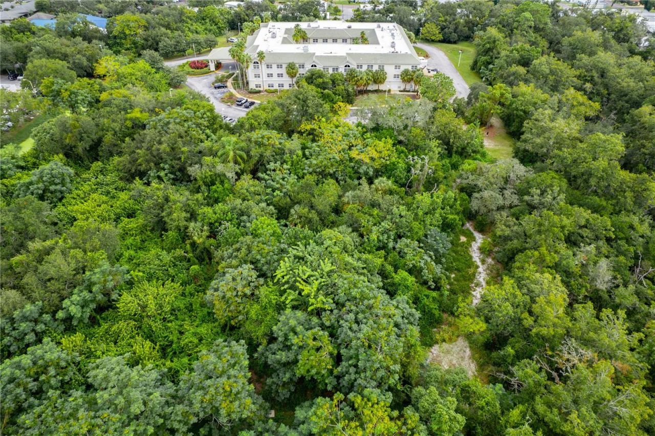 3141 N Mcmullen Booth Road , Clearwater, FL 33761 Photo