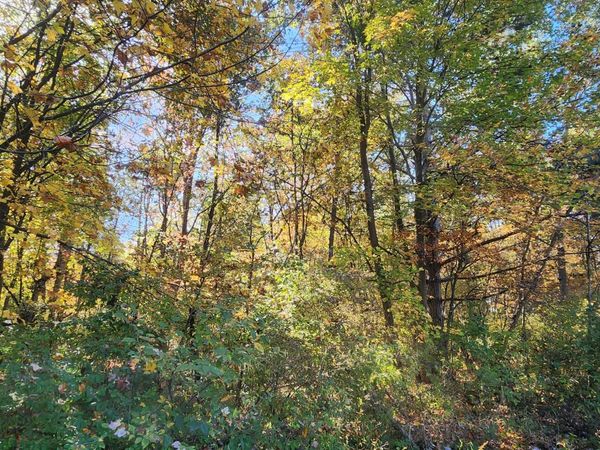 0 E Riley-Thompson Road, Muskegon, MI 49445