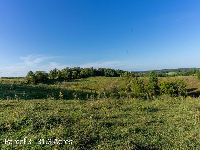 2886 Raysville Road , Wellston, OH 45692 Photo 40
