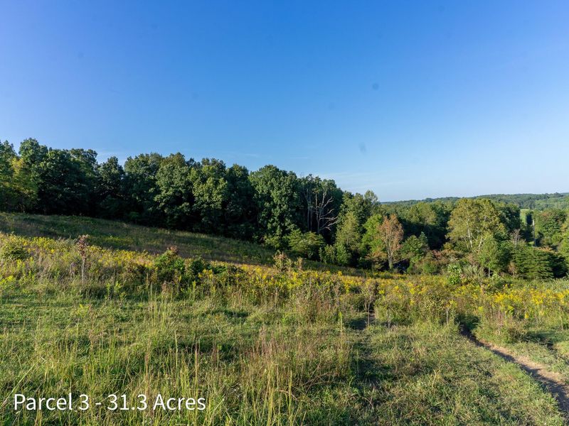 2886 Raysville Road , Wellston, OH 45692 Photo 43