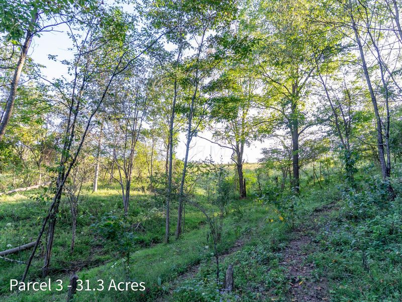2886 Raysville Road , Wellston, OH 45692 Photo 46