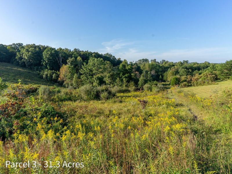 2886 Raysville Road , Wellston, OH 45692 Photo 47