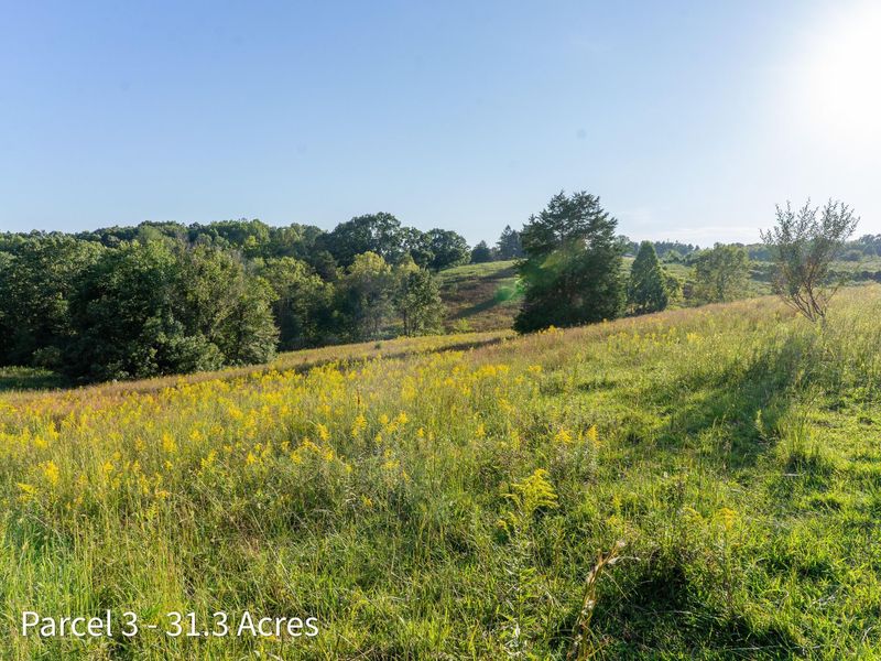 2886 Raysville Road , Wellston, OH 45692 Photo 49
