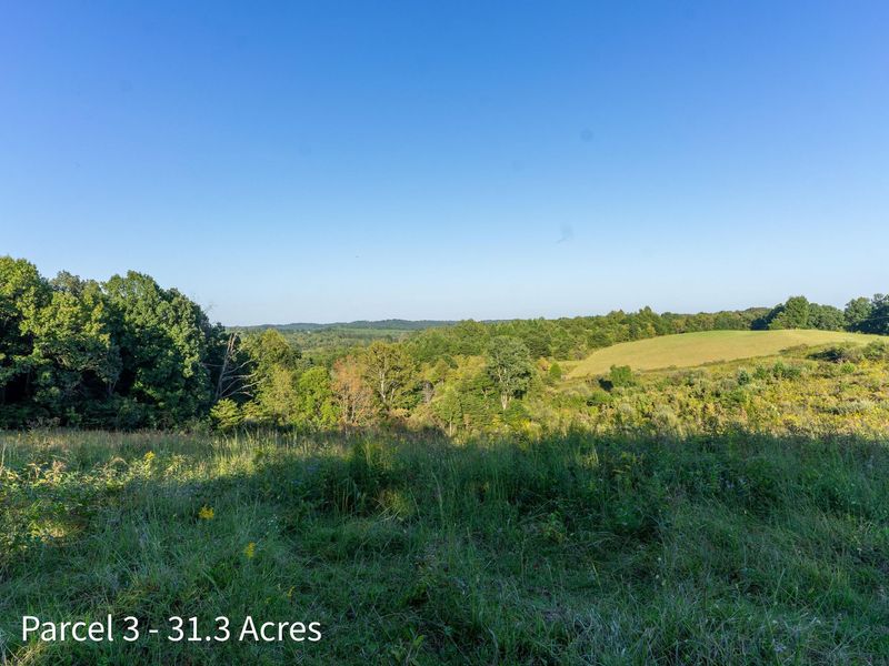 2886 Raysville Road , Wellston, OH 45692 Photo 51