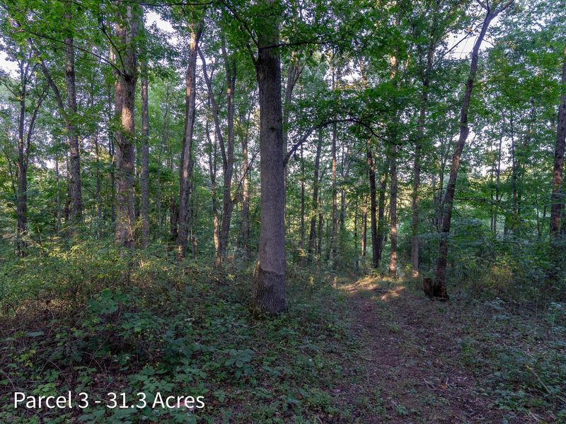 2886 Raysville Road , Wellston, OH 45692 Photo 53