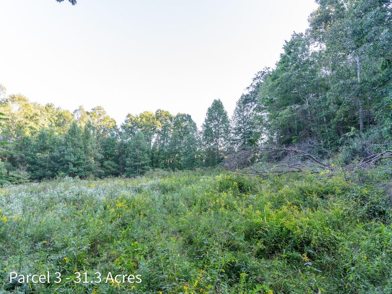 2886 Raysville Road , Wellston, OH 45692 Photo 54