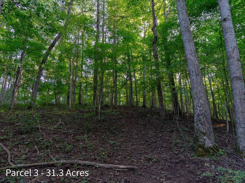 2886 Raysville Road , Wellston, OH 45692 Photo 55