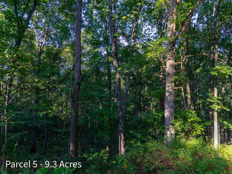 2886 Raysville Road , Wellston, OH 45692 Photo 93
