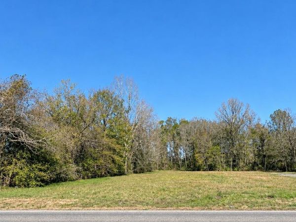 39216 Lot 2 Germany Rd, Prairieville, LA 70769