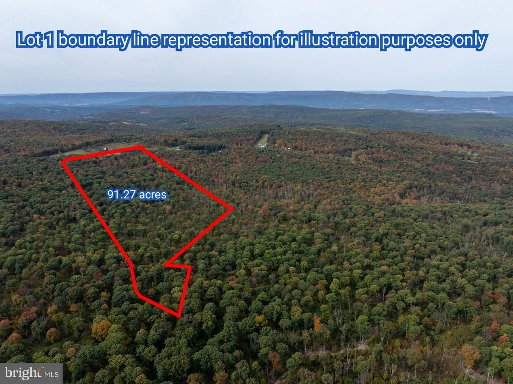 Lot 1 DUDLEY ROAD , SIX MILE RUN, PA 16679