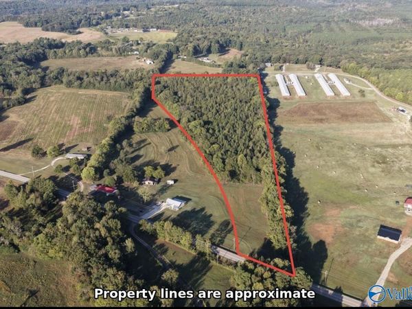 20 acres Alabama Highway 101, Town Creek, AL 35672